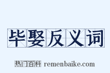 毕娶反义词是什么意思的图片
